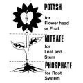 DR AID GRANULAR 4-18-38 DAP Masterblend Fertilizer Prix Pakistan Osmocote Trace Element 14 14 14 NPK D Composé Engrais